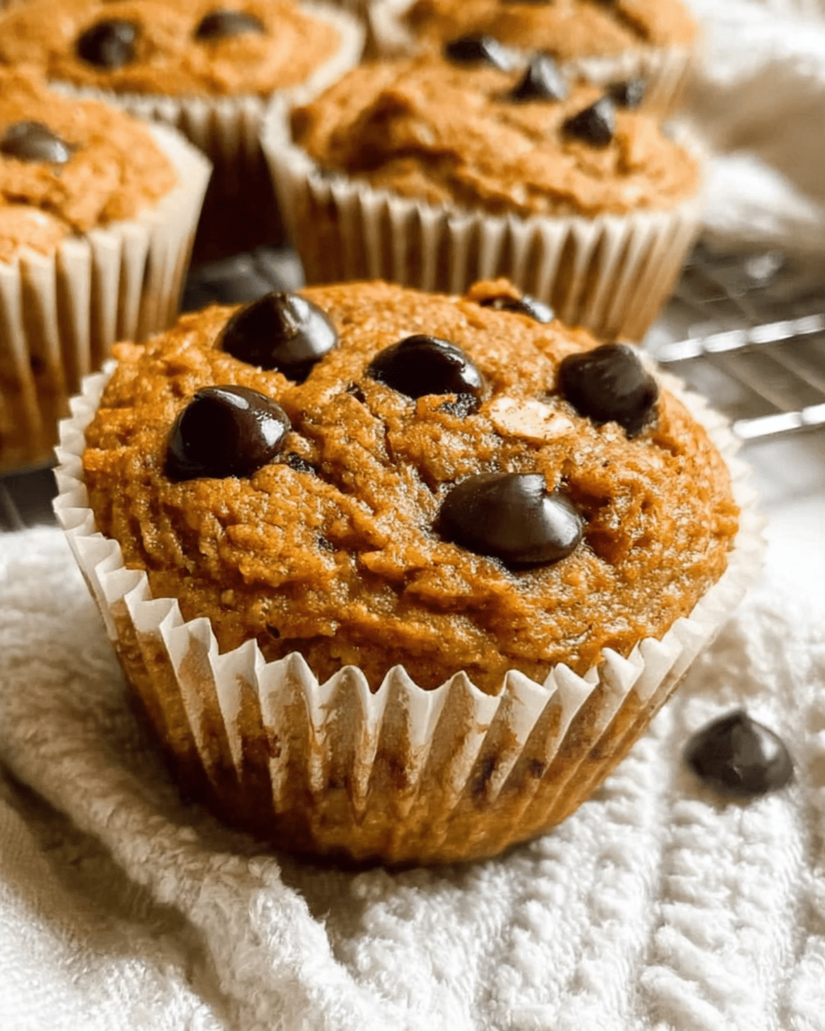Close-up of Pumpkin Protein Muffins topped with chocolate chips, resting on a white cloth.