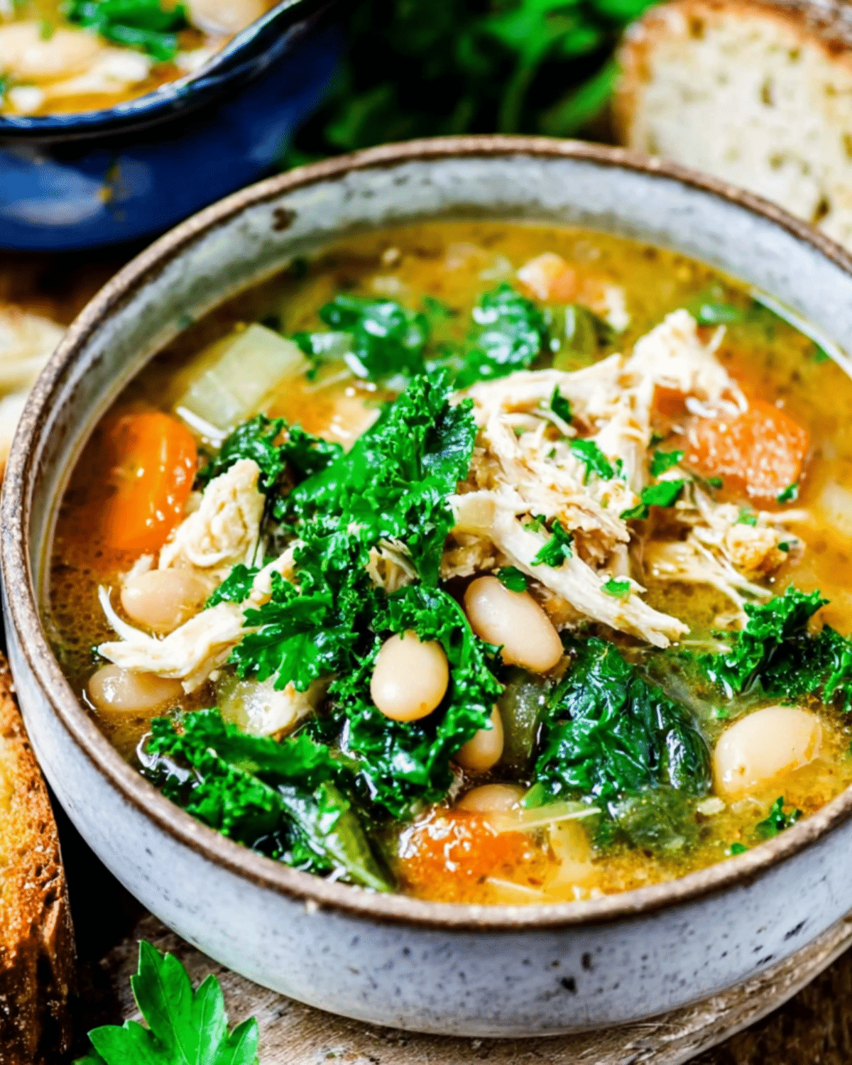 A rustic bowl of Tuscan Chicken Soup filled with shredded chicken, white beans, kale, carrots, and herbs in a savory broth.
