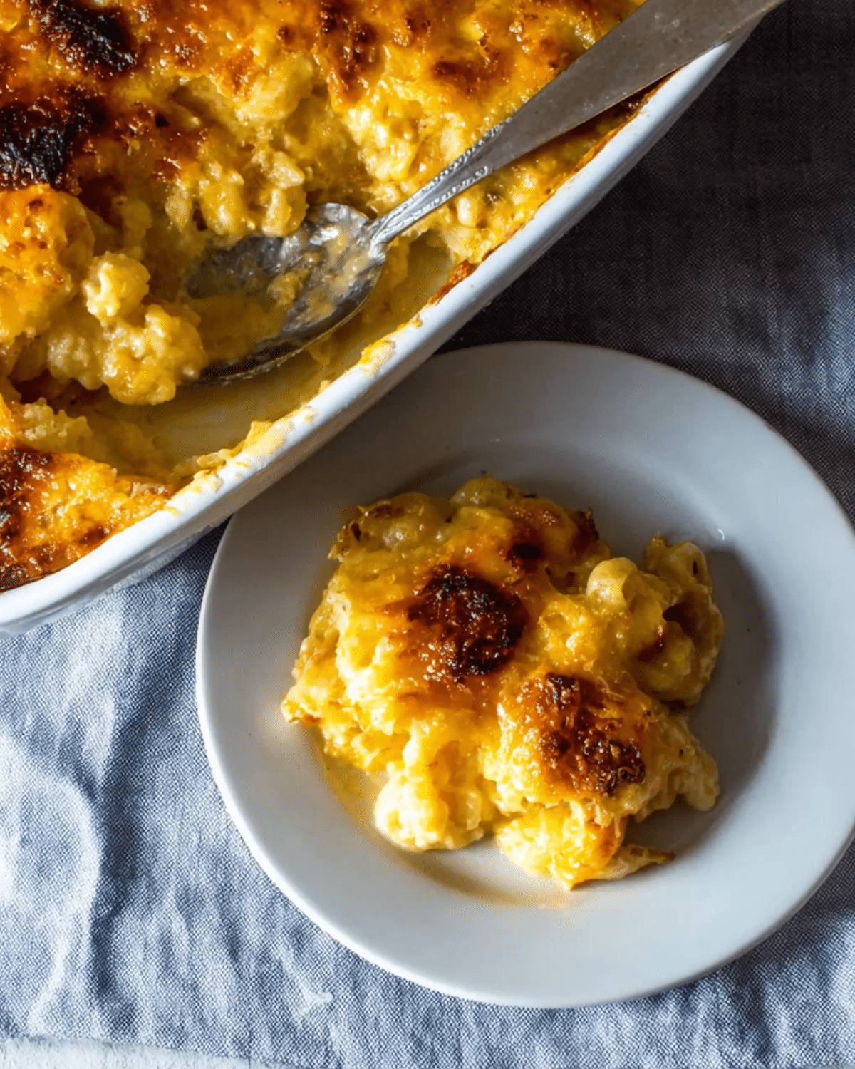 Southern baked macaroni and cheese with a golden, crispy cheese topping, served on a white plate beside a baking dish.