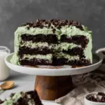 A layered Andes chocolate mint dessert cake with dark chocolate cake layers, mint green frosting, and topped with chopped Andes mints.