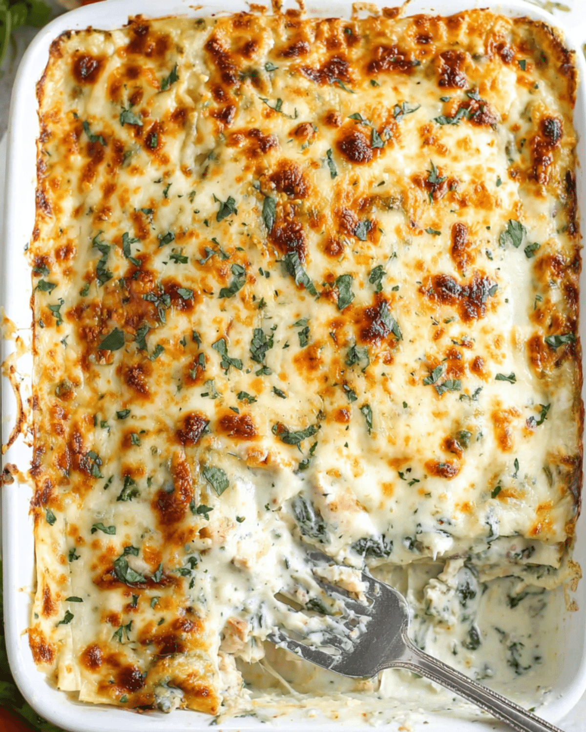 A baked dish of chicken Alfredo lasagna with layers of creamy white sauce, shredded chicken, spinach, and melted cheese, topped with fresh herbs.