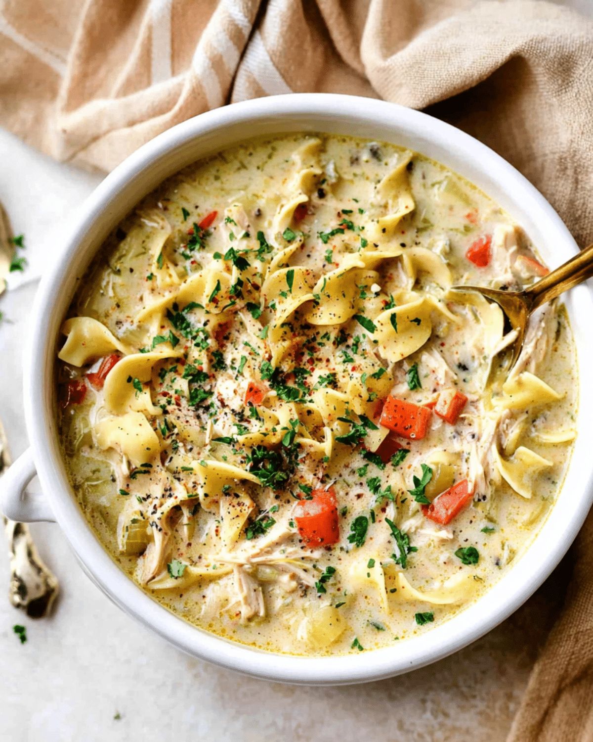 A hearty bowl of creamy chicken noodle soup filled with egg noodles, shredded chicken, carrots, celery, and herbs, garnished with parsley and black pepper.